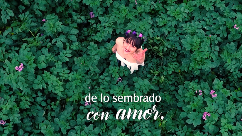 Spot Industria de Licores 2016